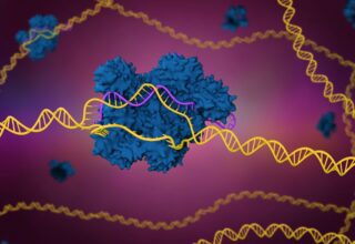 CRISPR Teknolojisi: Gen Düzenlemenin Geleceği